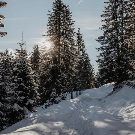 Bergler Hoamat - Mountain Hideaway Navis