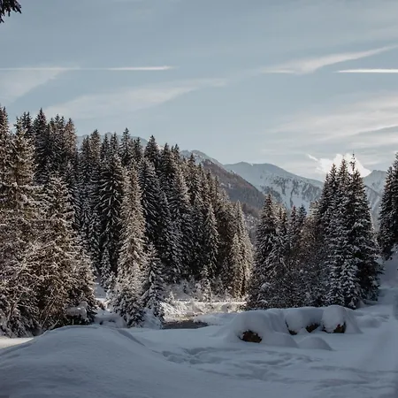 Bergler Hoamat - Mountain Hideaway Navis